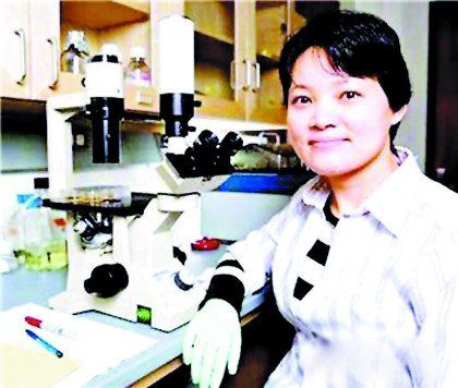 中國女博士領銜打造“萬能細胞”(11.22)1