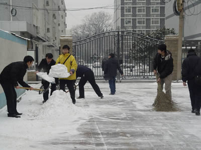 我中心組織員工參加清理積雪活動2