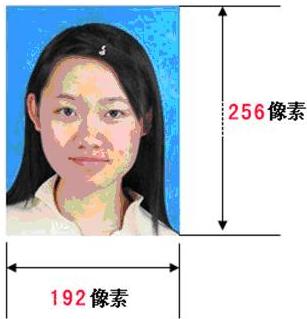 2014年上半年北京自考電子照片標準要求1