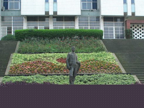 《致青春》故事原型在重慶交通大學？網友列5相同點1
