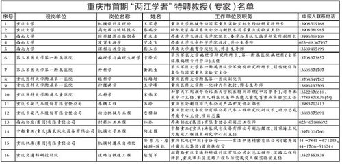 重慶16人當選首期兩江學者 最年輕特聘教授32歲1