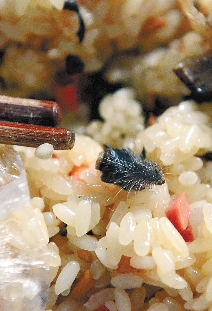 高中食堂糯米飯里吃出老鼠頭1