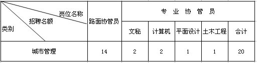 安徽省合肥市肥西縣城市管理局2011年招聘20名城市管理協管員1