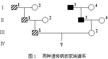 2012年浙江省中小學教師招聘考試生物學科試卷(簡答題、綜合分析題)1