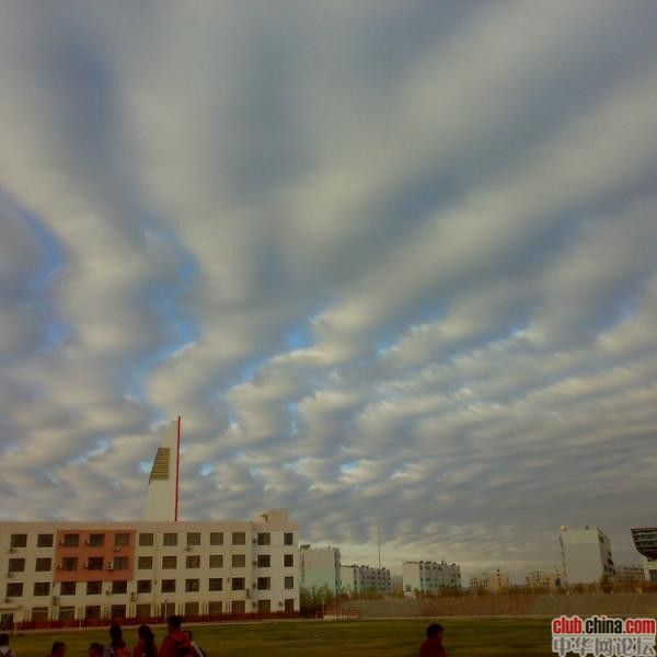 新疆地震波及范圍1