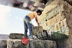 重慶男孩被美國神秘高校錄取 該校每年只招13人-中國教育3