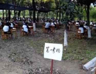 學校防作弊又出“絕招” 在樹林里考試3