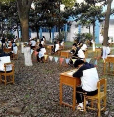 學校防作弊又出“絕招” 在樹林里考試2