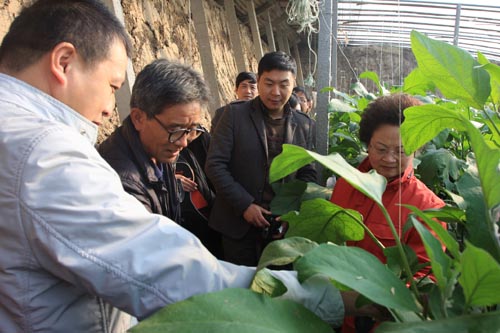 服務新型城鎮化，地市高職如何作為-中國教育1