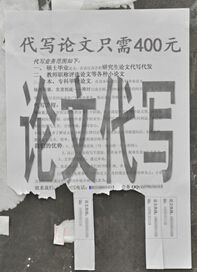 研究生畢業開網店代寫論文 月收入2萬多1