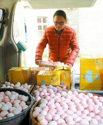 研究生變“雞蛋哥”每天賣2萬枚土雞蛋1