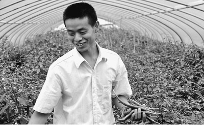 大學生菜農兩次受挫之后：堅持換來收獲-中國教育1