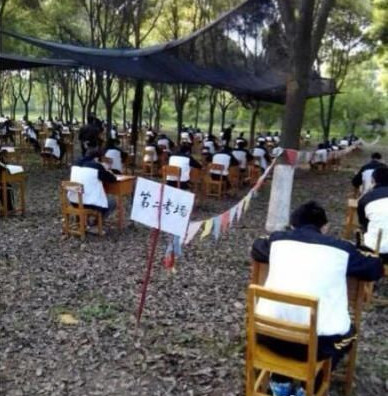 學校防作弊又出“絕招” 在樹林里考試4