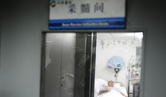 湖北警犬訓導員捐髓 挽救白血病女研究生1