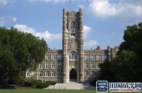 紐約大學排名TOP 116