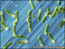 英國留學:英華人科學家研發抗菌不銹鋼2