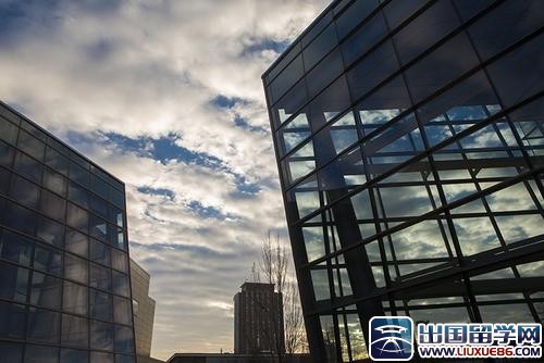 紐約大學排名TOP 119