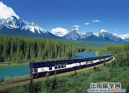 中國留學生心酸經歷:開寶馬送報紙成經典(圖)[1]1