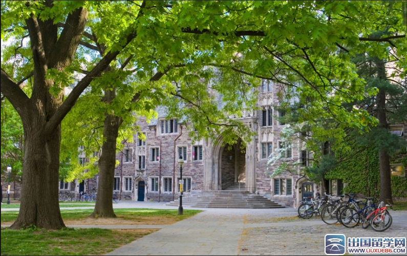 “盛產”百萬富翁的世界大學排名Top105