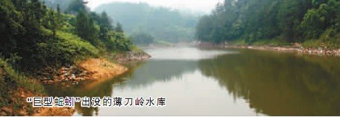 史前巨蚯蚓現身重慶，體長有八九十厘米【圖】[1]1