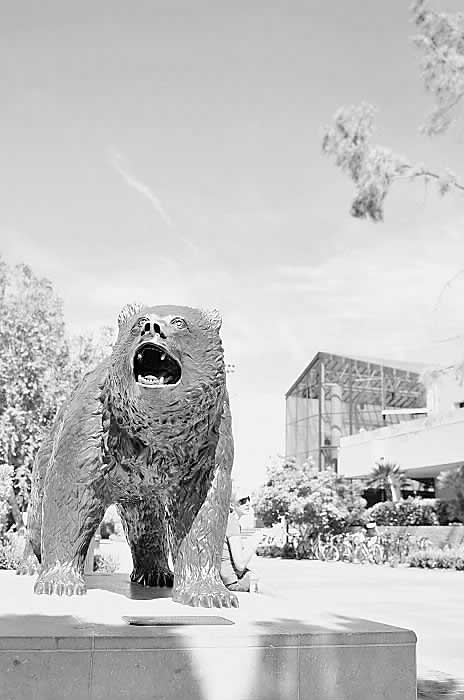 UCLA 時尚與運動在這里匯合[1]2