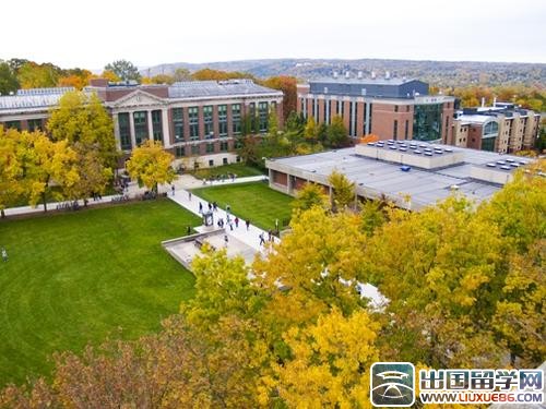 紐約大學排名TOP 118