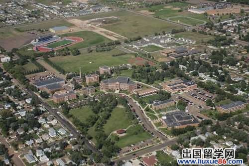 教育部核查美大學向不合格中國學生發文憑事件1