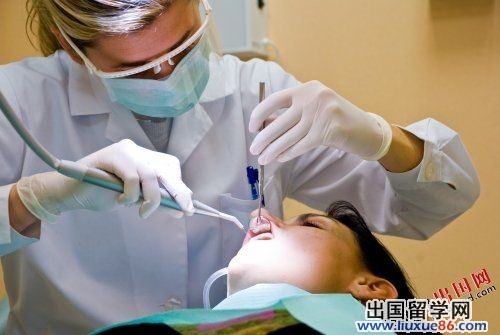 美國未來10年高薪職業:注冊護士居首(圖)2