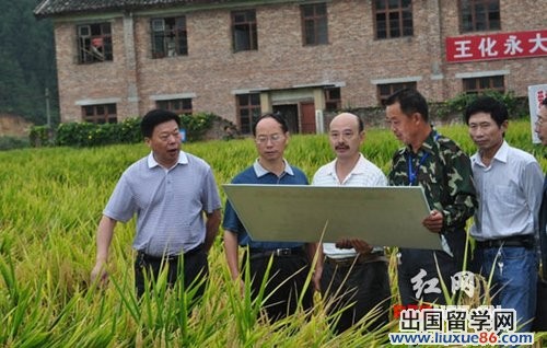 袁隆平雜交稻畝產926公斤創紀錄，下一步目標1000公斤！【圖】[1]2