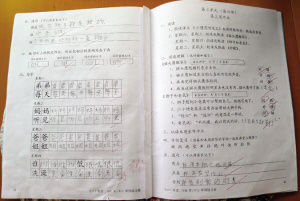 美華人子女教育現狀調查：為何仍唯讀書高[1]2