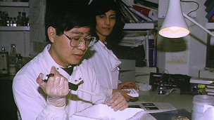 英國新聞:缺乏基本功 英大學為新生補課1