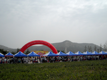 2010年全國研招咨詢會山東站圖文報道(火爆現場)1