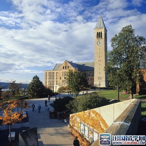 紐約大學排名TOP 112