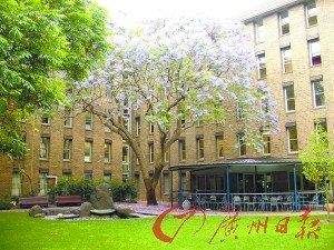 越來越多國外名校承認中國高考成績 語言需達標[1]1