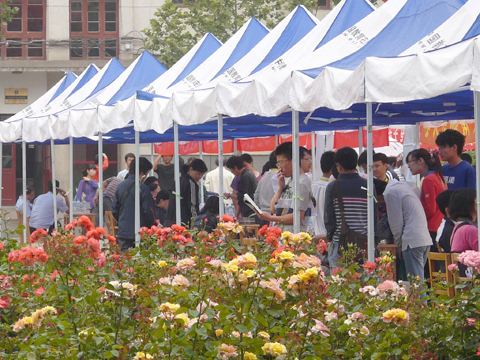 2011年全國研招現場咨詢會蘭州站現場圖集(圖)13