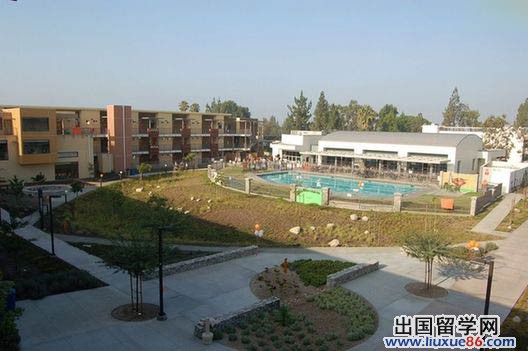 中美大學對比：七個不同3