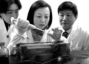 一只假耳朵騙取3個億，上海交大教授曹誼林被指造假【圖】2