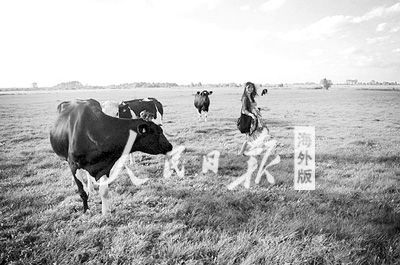 旅行：留學海外的一道風景[1]2