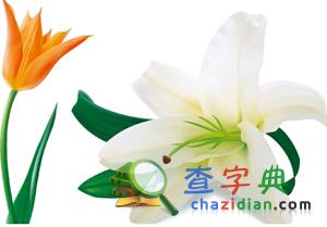 專業盤點：理科熱門專業排行榜前208
