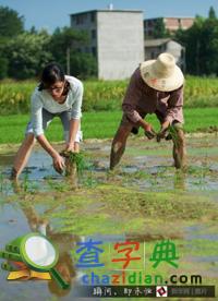 女碩士高能成低能就 當村官攜村民致富2