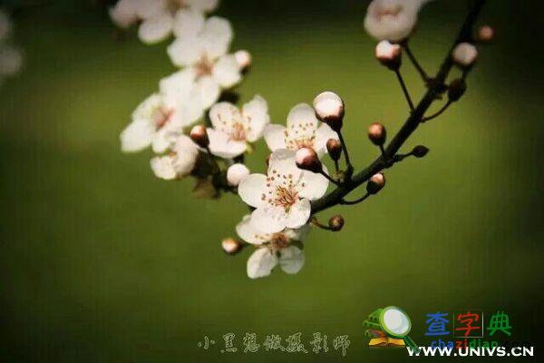 親愛的淮南師院黨員畢業生：母校有話對你說1