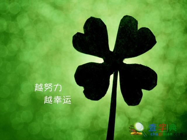信陽三本院校學子，考研逆襲故事多多1