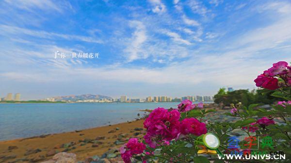 大學生拍延時專題片展魅力石大3