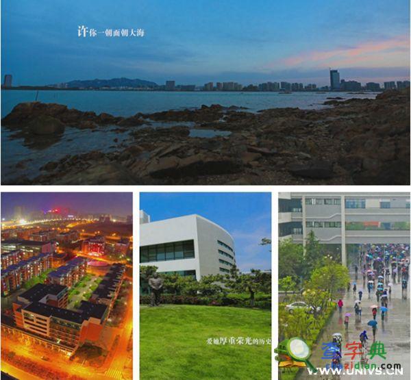 大學生拍延時專題片展魅力石大7