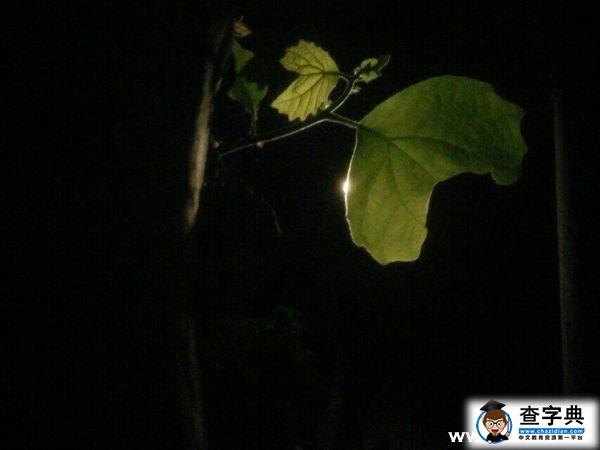 拼搏考研路,孤獨盡頭的一曲絕唱!1