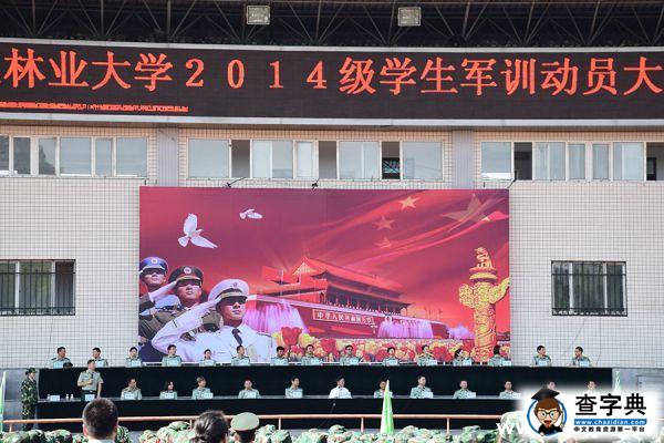 東北林大軍訓集結號吹響訓練號角6