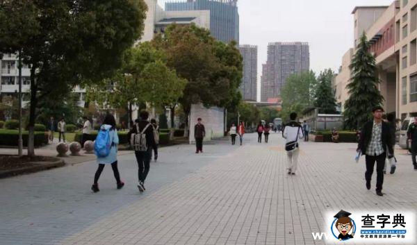 不愿離開這座城——來自大四學姐的真情告白2