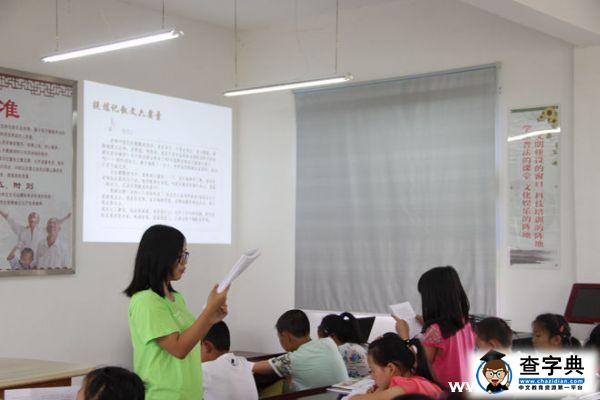愛融“新”間 安徽師大志愿者做躬身實踐的中文人3