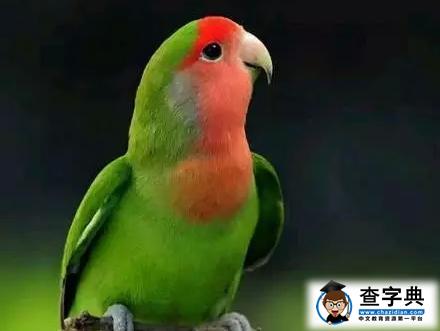 一個小故事讓你秒懂互聯網思維1