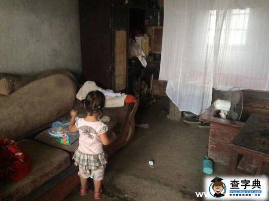 風雨中的彩虹9
